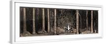 White Frame