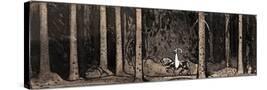 Stretched Canvas