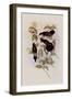 Herran's Thorn-Bill, Ramphomicron Herrani-John Gould-Framed Giclee Print