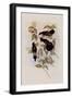 Herran's Thorn-Bill, Ramphomicron Herrani-John Gould-Framed Giclee Print