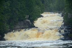 River Flowing through the Woods-herreid-Photographic Print