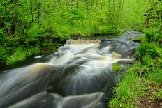 River Flowing through the Woods-herreid-Framed Photographic Print