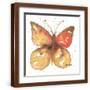 Brown Frame
