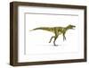 Herrerasaurus Dinosaur, Artwork-null-Framed Premium Photographic Print