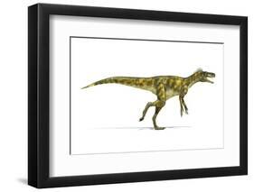 Herrerasaurus Dinosaur, Artwork-null-Framed Premium Photographic Print