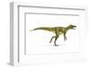 Herrerasaurus Dinosaur, Artwork-null-Framed Premium Photographic Print