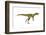 Herrerasaurus Dinosaur, Artwork-null-Framed Photographic Print