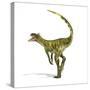 Herrerasaurus Dinosaur, Artwork-null-Stretched Canvas