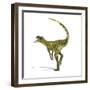 Herrerasaurus Dinosaur, Artwork-null-Framed Photographic Print