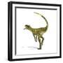 Herrerasaurus Dinosaur, Artwork-null-Framed Photographic Print