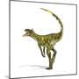 Herrerasaurus Dinosaur, Artwork-null-Mounted Photographic Print