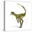 Herrerasaurus Dinosaur on White Background-null-Stretched Canvas