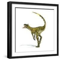 Herrerasaurus Dinosaur on White Background-null-Framed Art Print
