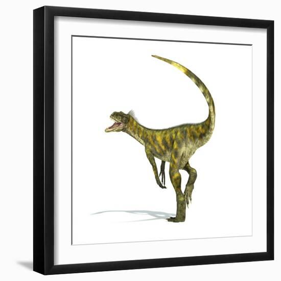 Herrerasaurus Dinosaur on White Background-null-Framed Art Print