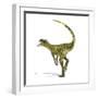 Herrerasaurus Dinosaur on White Background-null-Framed Art Print