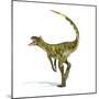 Herrerasaurus Dinosaur on White Background-null-Mounted Art Print