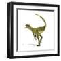 Herrerasaurus Dinosaur on White Background-null-Framed Art Print