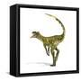 Herrerasaurus Dinosaur on White Background-null-Framed Stretched Canvas