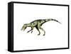 Herrerasaurus Dinosaur-null-Framed Stretched Canvas