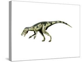 Herrerasaurus Dinosaur-null-Stretched Canvas