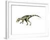 Herrerasaurus Dinosaur-null-Framed Art Print