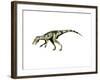 Herrerasaurus Dinosaur-null-Framed Art Print