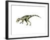 Herrerasaurus Dinosaur-null-Framed Art Print