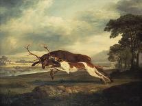 A Hound Attacking a Stag, 1769-Herri Met De Bles-Giclee Print