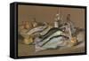 Herring and Whiting, 1971 (Pastel)-Anthea Durose-Framed Stretched Canvas