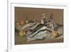 Herring and Whiting, 1971 (Pastel)-Anthea Durose-Framed Giclee Print