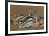 Herring and Whiting, 1971 (Pastel)-Anthea Durose-Framed Giclee Print