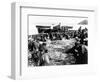 Herring Catch, C.1890-null-Framed Photographic Print