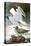 Herring Gull & Black Duck-John James Audubon-Stretched Canvas