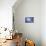 Herring Gull (Larus argentatus) juveniles in flight over stormy sea-Tony Hamblin-Photographic Print displayed on a wall