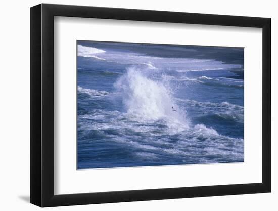 Herring Gull (Larus argentatus) juveniles in flight over stormy sea-Tony Hamblin-Framed Photographic Print