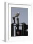 Herring Gull (Larus Argentatus) Perched on Traffic Light Support Post by a Pedestrian Crossing-Nick Upton-Framed Photographic Print