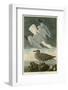 Herring Gull-John James Audubon-Framed Giclee Print