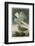 Herring Gull-John James Audubon-Framed Giclee Print