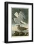 Herring Gull-John James Audubon-Framed Art Print