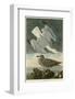 Herring Gull-John James Audubon-Framed Art Print