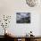 Herring Gulls, Following Fishing Boat with Bass Rock Behind, Firth of Forth, Scotland, UK-Toon Ann & Steve-Photographic Print displayed on a wall