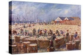 Herring Harvest,Yarmouth-A Heaton Cooper-Stretched Canvas