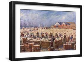 Herring Harvest,Yarmouth-A Heaton Cooper-Framed Art Print