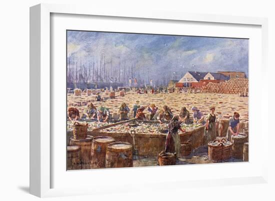 Herring Harvest,Yarmouth-A Heaton Cooper-Framed Art Print