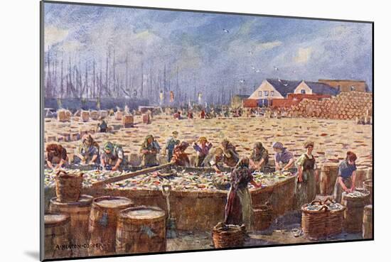 Herring Harvest,Yarmouth-A Heaton Cooper-Mounted Art Print