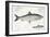 Herring-Andreas-ludwig Kruger-Framed Giclee Print