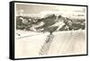 Herringbone Ski Track, Telluride, Colorado-null-Framed Stretched Canvas