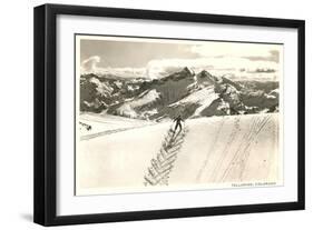 Herringbone Ski Track, Telluride, Colorado-null-Framed Art Print