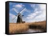 Herringfleet Drainage Mill, Suffolk, UK-Nadia Isakova-Framed Stretched Canvas