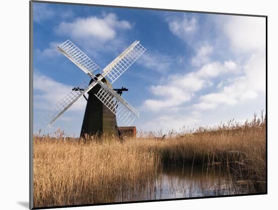 Herringfleet Drainage Mill, Suffolk, UK-Nadia Isakova-Mounted Photographic Print
